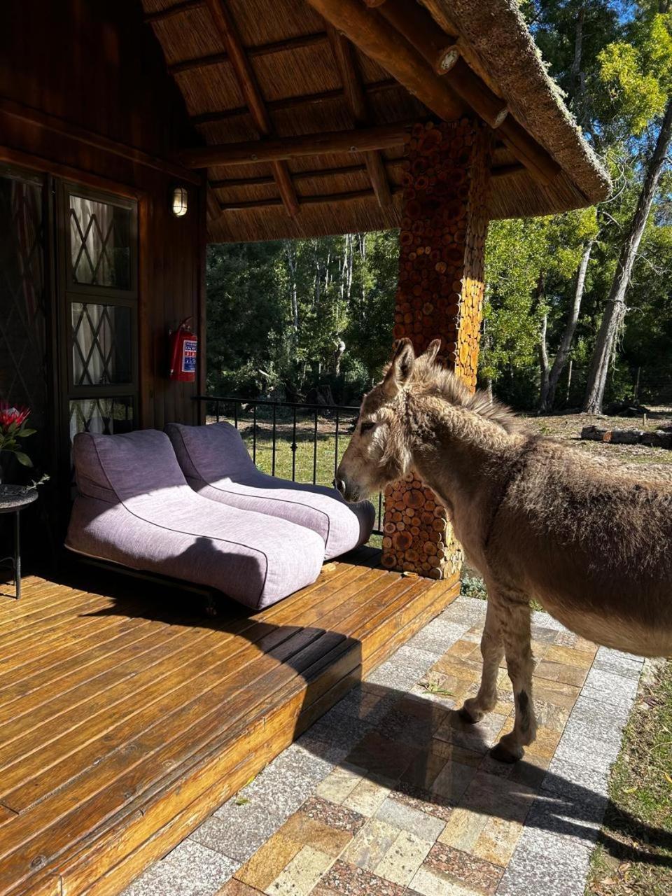 Shabby Fufu Lifestyle Farm Villa เพลตเตนเบิร์กเบย์ ภายนอก รูปภาพ